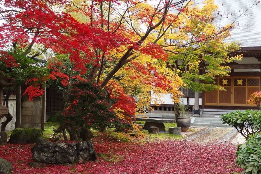 法華宗総本山 本成寺