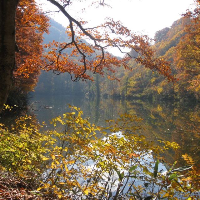 雨生ヶ池（まおいがいけ）