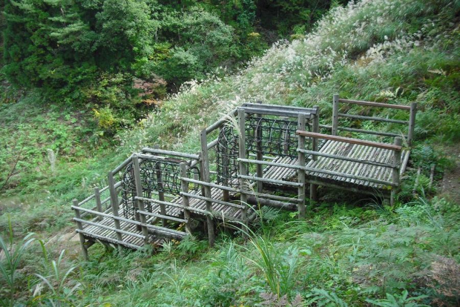 中浦ヒメサユリ森林公園【キャンプ場】