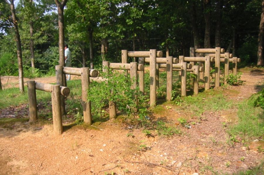 中浦ヒメサユリ森林公園【キャンプ場】