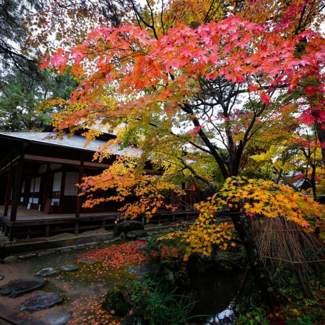 清水園