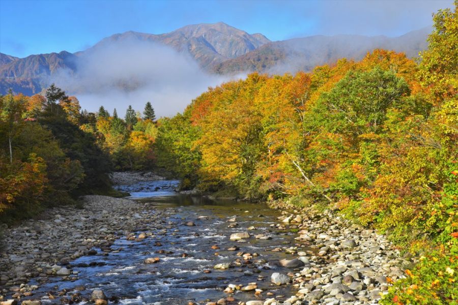 銀山平｜新潟の観光スポット｜【公式】新潟県のおすすめ観光・旅行情報 