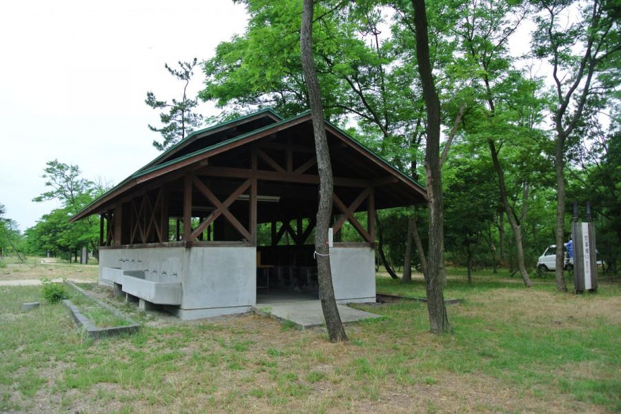 海辺の森キャンプ場 新潟の観光スポット 公式 新潟県のおすすめ観光 旅行情報 にいがた観光ナビ