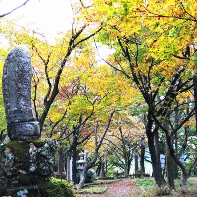 湯沢観音公園
