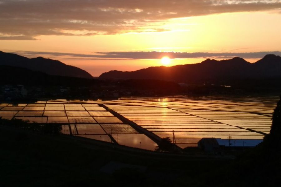 丸山大橋からの夕日。水田に水が張られる時期は美しい風景が眺められる。