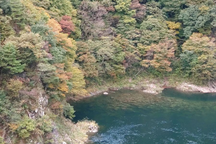 丸山大橋上流の紅葉