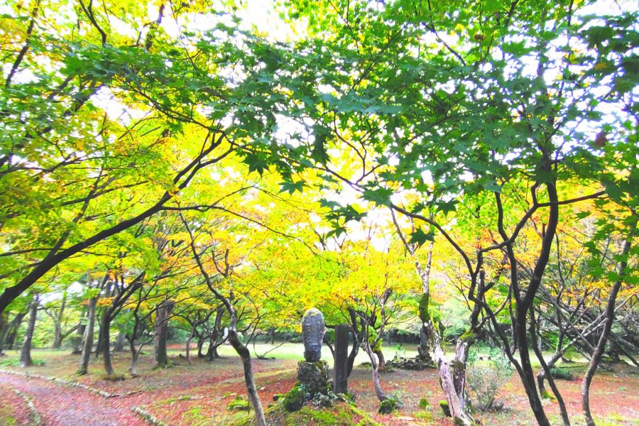 近くには湯沢観音公園があり、春はカタクリの群生、晩秋には紅葉の紅葉が美しい。