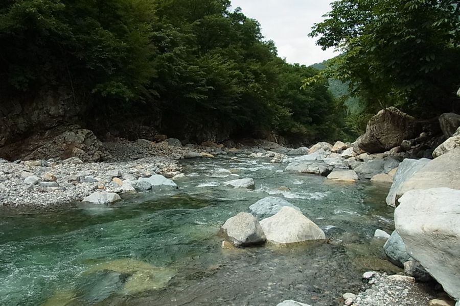 八海山 水無渓谷 八海石(36㎏) - 魚用品/水草