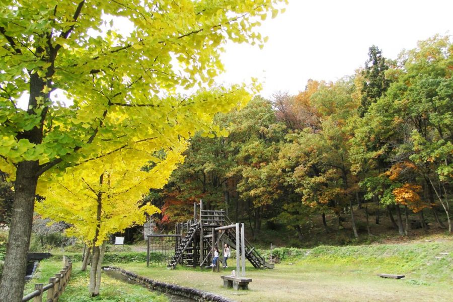 中ノ沢渓谷森林公園