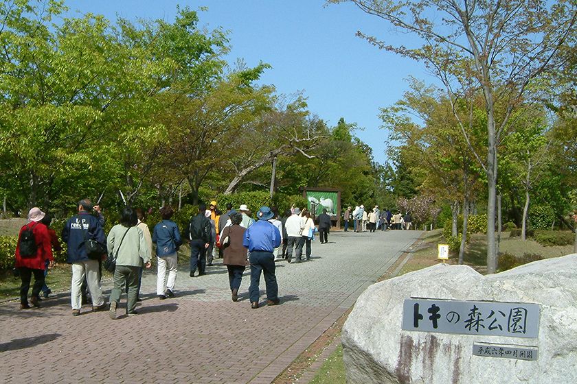 緑豊かな「トキの森公園」