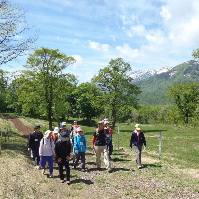 妙高高原駅と笹ヶ峰高原を結ぶ｢笹ヶ峰直行バス」。