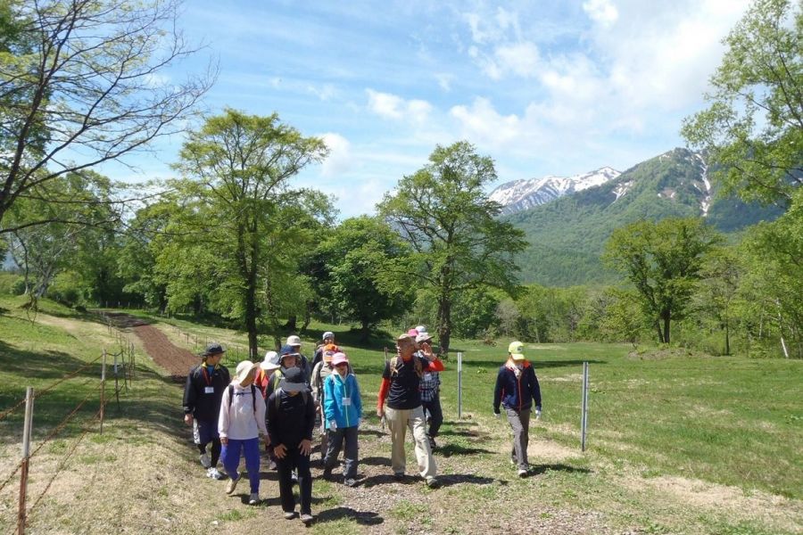 妙高高原駅と笹ヶ峰高原を結ぶ｢笹ヶ峰直行バス」。