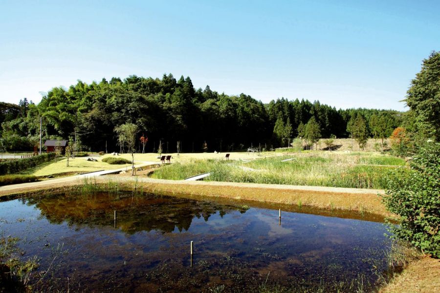 刈羽新池自然観察公園