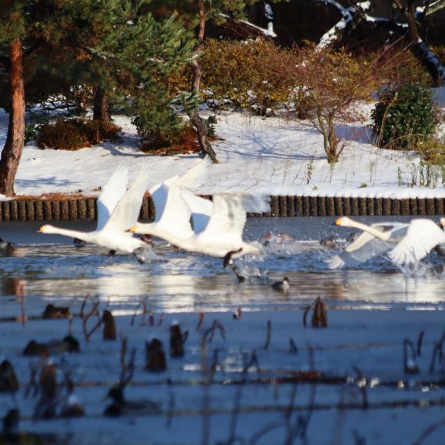 弁天潟風致公園