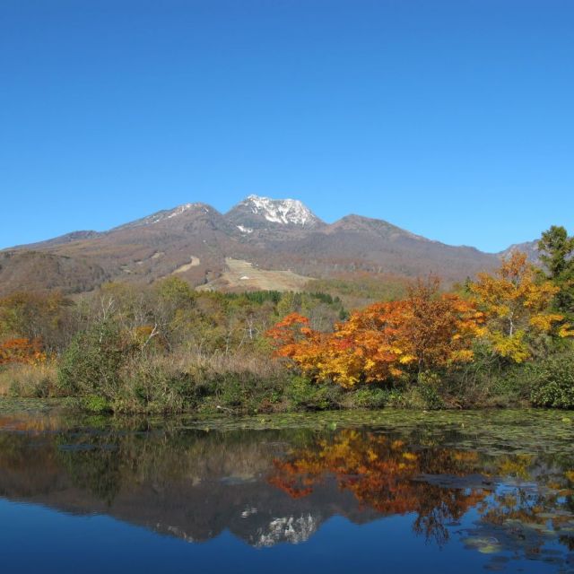 いもり池