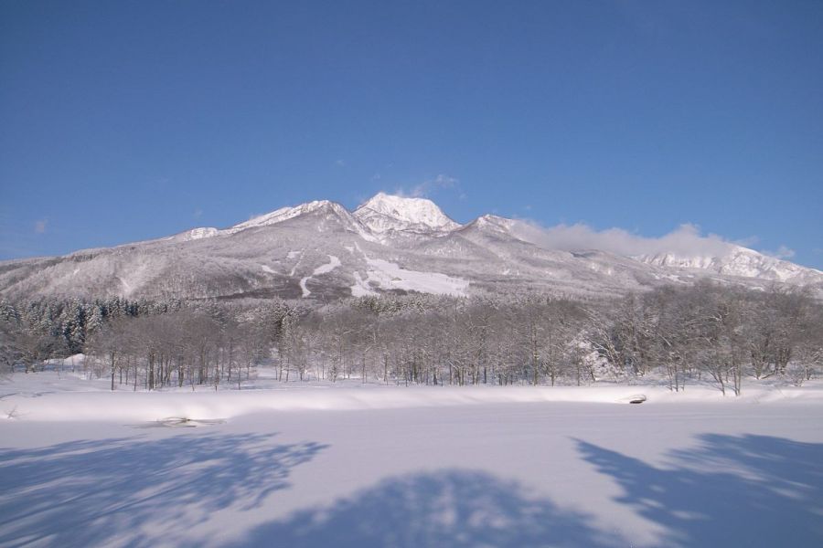 いもり池（冬）