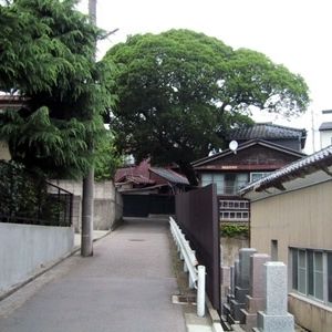新潟市学校町通り周辺施設