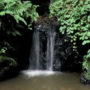 金津の滝（白玉の滝）　雄滝