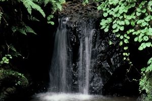 金津の滝（白玉の滝）　雄滝