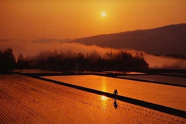 津南町の田園風景