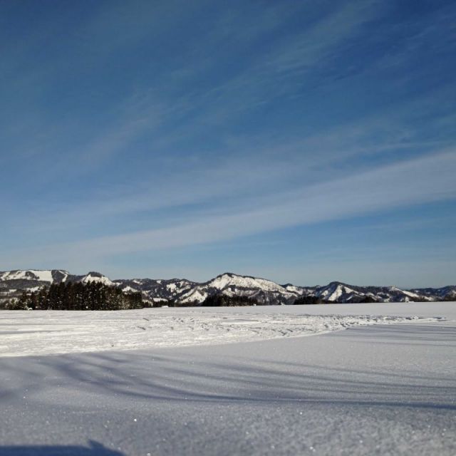 雪原（津南ひまわり広場）