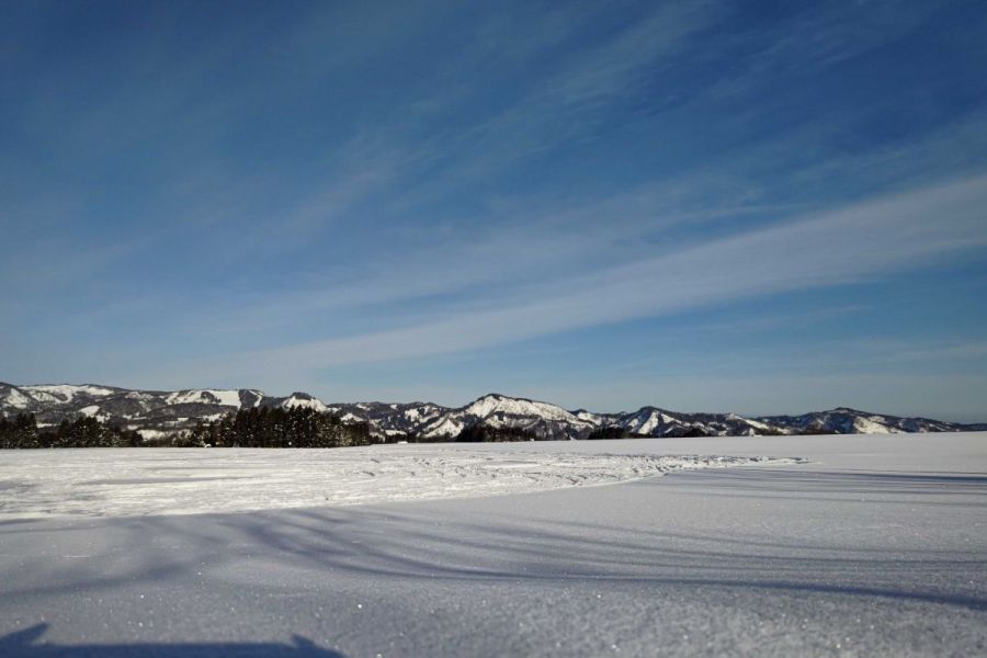 雪原（津南ひまわり広場）