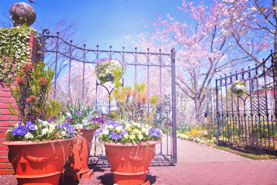 みつけイングリッシュガーデンの桜 新潟の観光スポット 公式 新潟県のおすすめ観光 旅行情報 にいがた観光ナビ