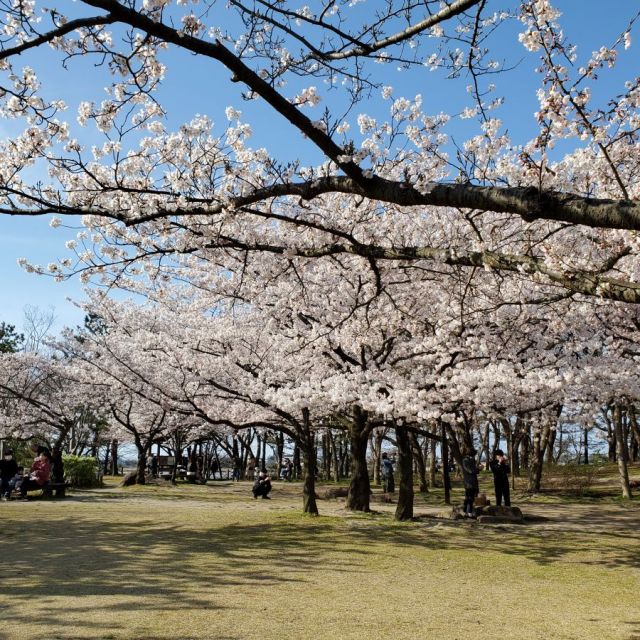 鳥屋野潟公園鐘木地区