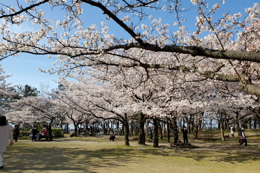 鳥屋野潟公園鐘木地区