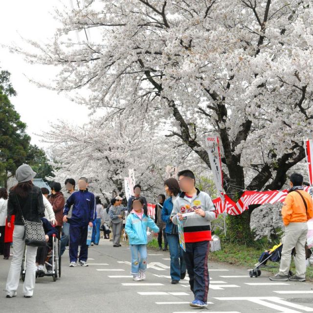 【2022中止】阿賀野市桜まつり