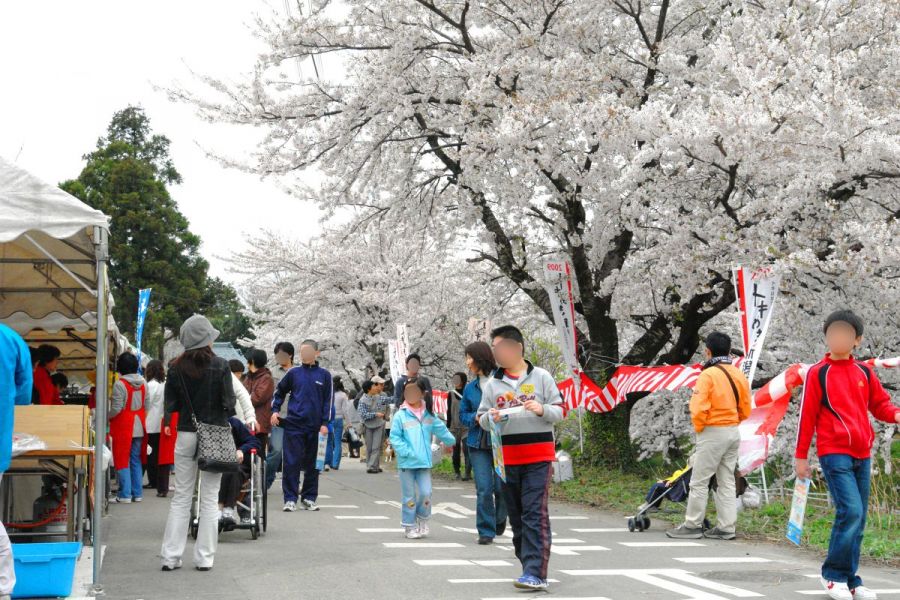 阿賀野市桜まつり