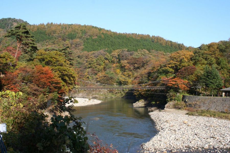 遠景の紅葉