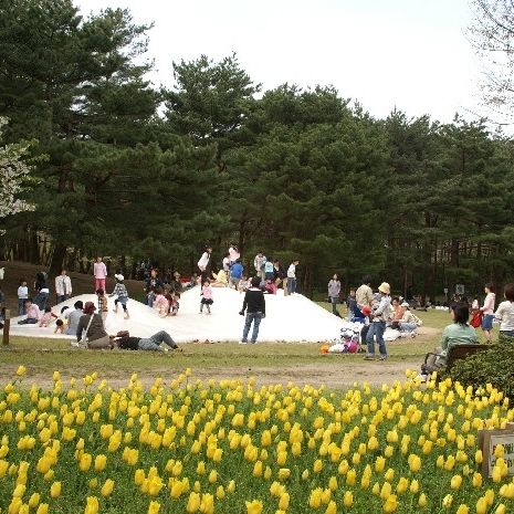 新潟県立紫雲寺記念公園