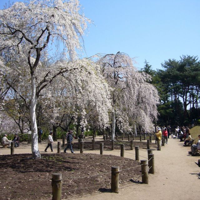 じゅんさい池公園