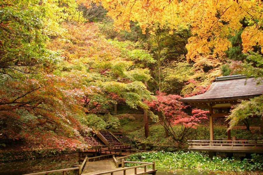 加茂山公園 ロケ地検索 新潟ロケーションガイド 公式 新潟県のおすすめ観光 旅行情報 にいがた観光ナビ