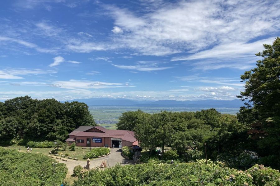 一望できる海岸線