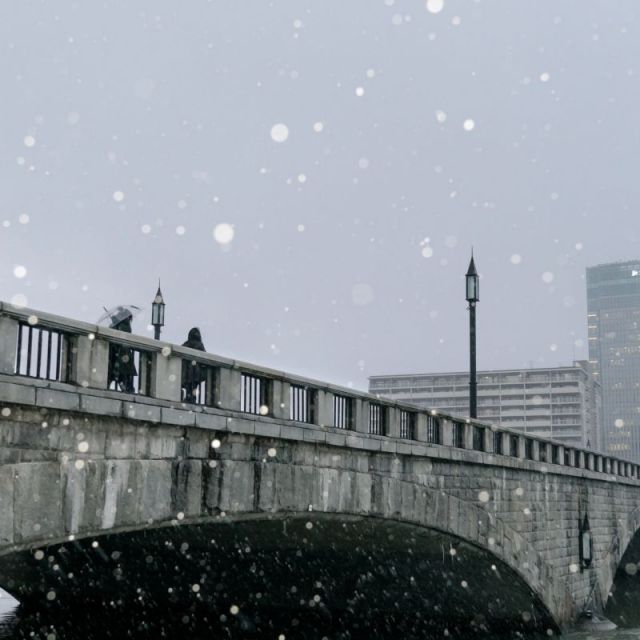 国指定重要文化財　萬代橋