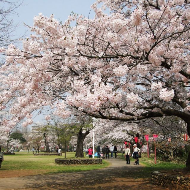 赤坂山公園