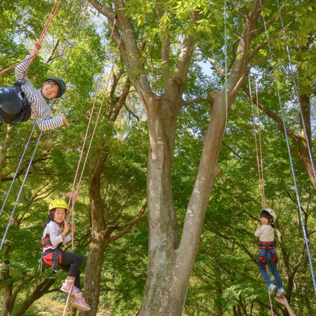 樽ケ橋遊園でツリーイング体験