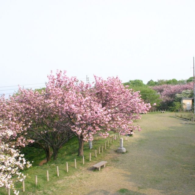 諸上寺公園