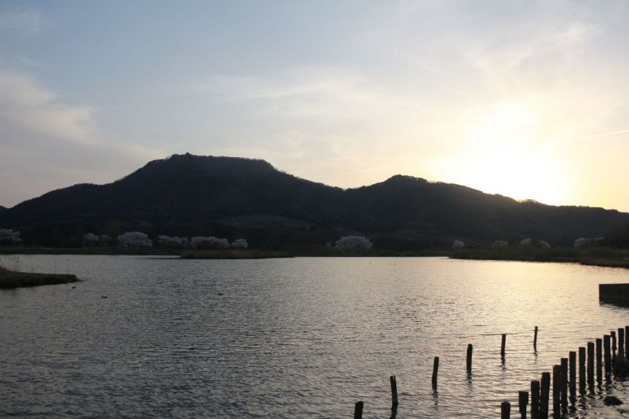 上堰潟と水面に映る夕日と角田山