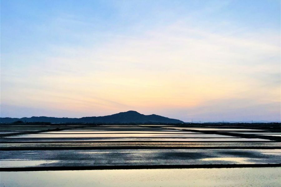 水鏡の水田と角田山