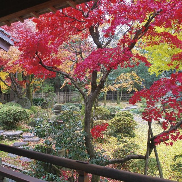椿寿荘