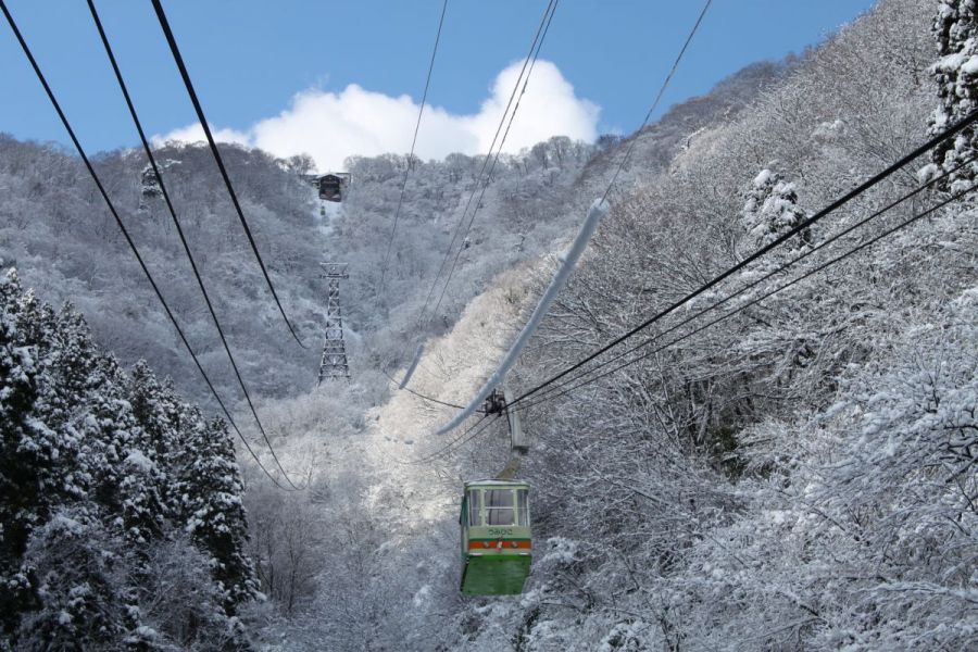 雪景色の越後平野と弥彦山