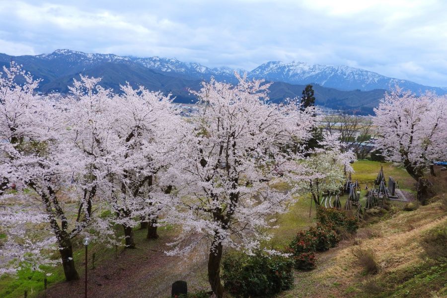 小出公園