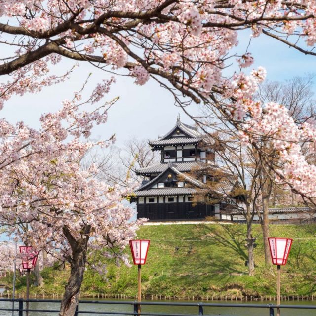 高田城址公園