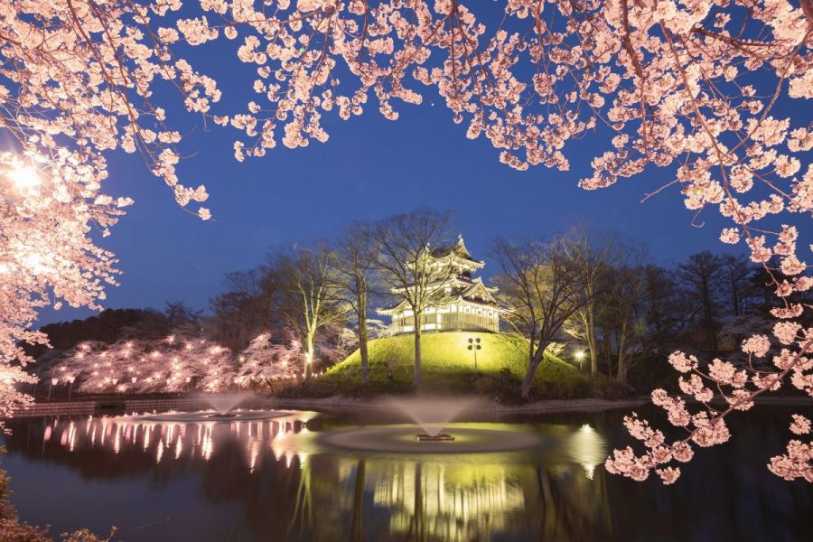 「日本三大夜桜」お堀の水面に映る美しい様