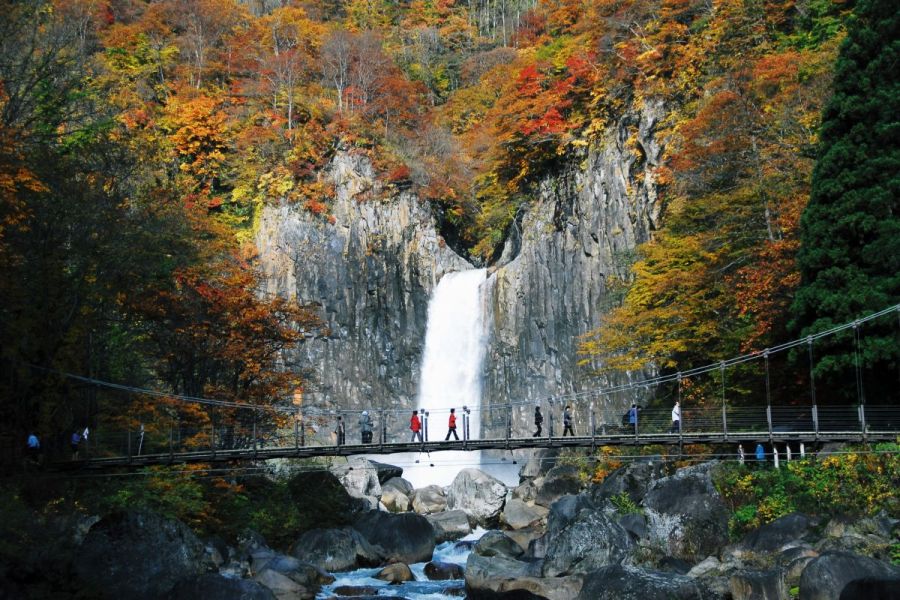 紅葉の名所。秋には多くの人が訪れる。