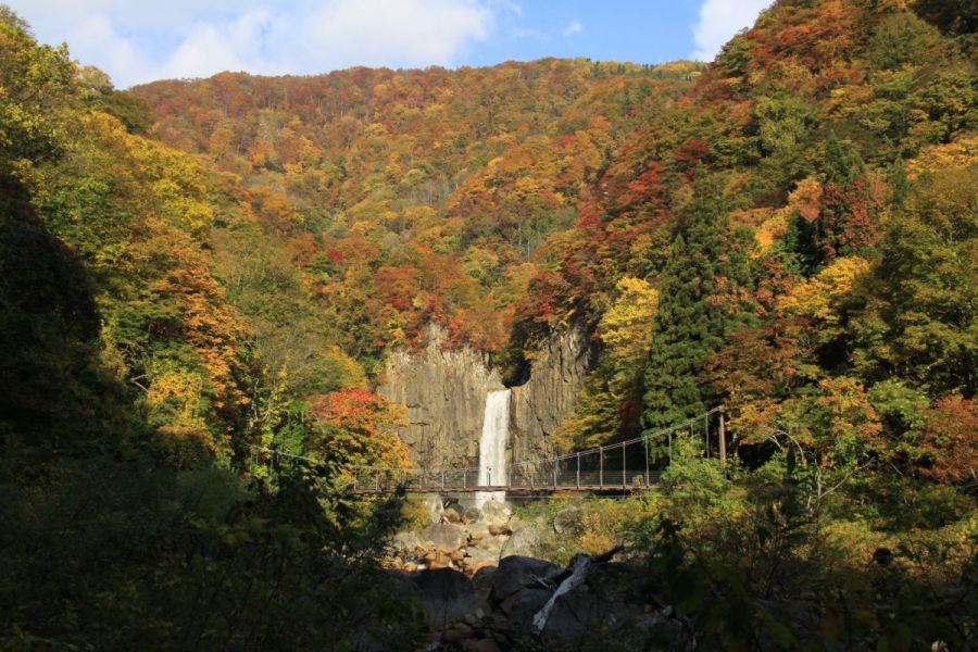 橋の上から、紅葉と滝を眺める