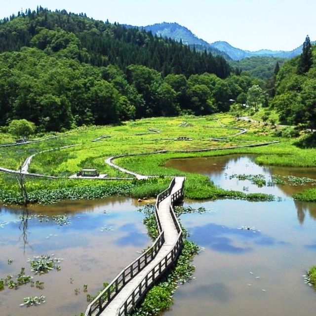 たきがしら湿原